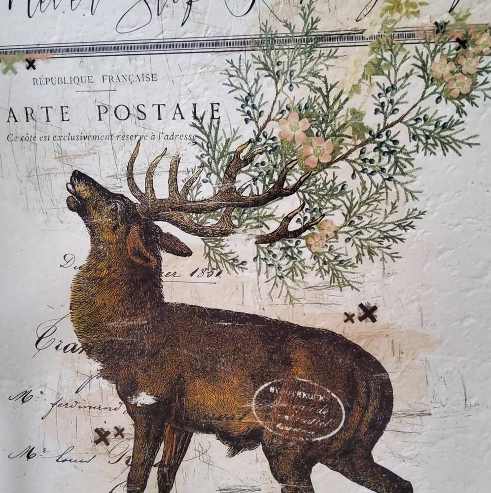 Meet your Posher, Dianna